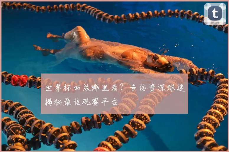 世界杯回放哪里看？专访资深球迷揭秘最佳观赛平台