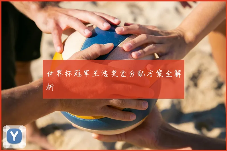 世界杯冠军王浩奖金分配方案全解析
