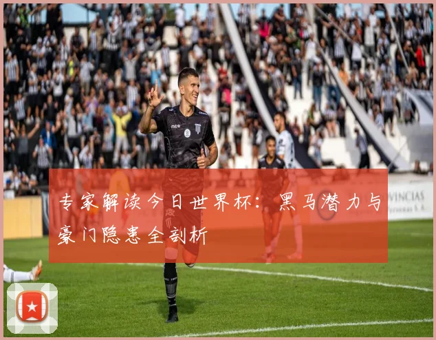 专家解读今日世界杯：黑马潜力与豪门隐患全剖析