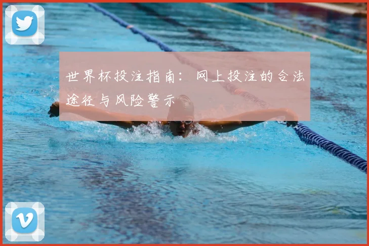 世界杯投注指南:网上投注的合法途径与风险警示