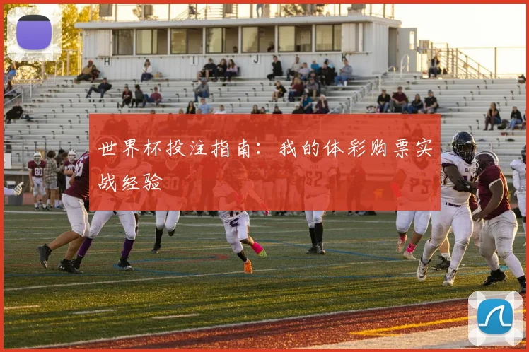 世界杯投注指南：我的体彩购票实战经验