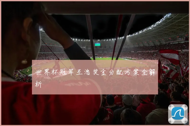 世界杯冠军王浩奖金分配方案全解析