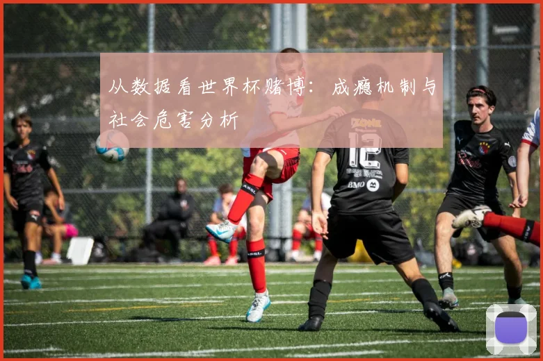 从数据看世界杯赌博：成瘾机制与社会危害分析