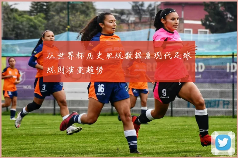 从世界杯历史犯规数据看现代足球规则演变趋势