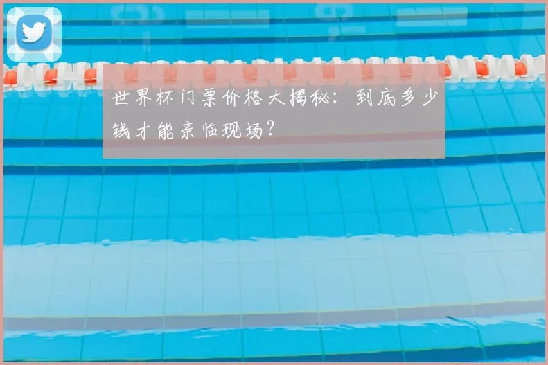 世界杯门票价格大揭秘：到底多少钱才能亲临现场？