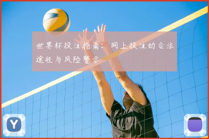 世界杯投注指南:网上投注的合法途径与风险警示