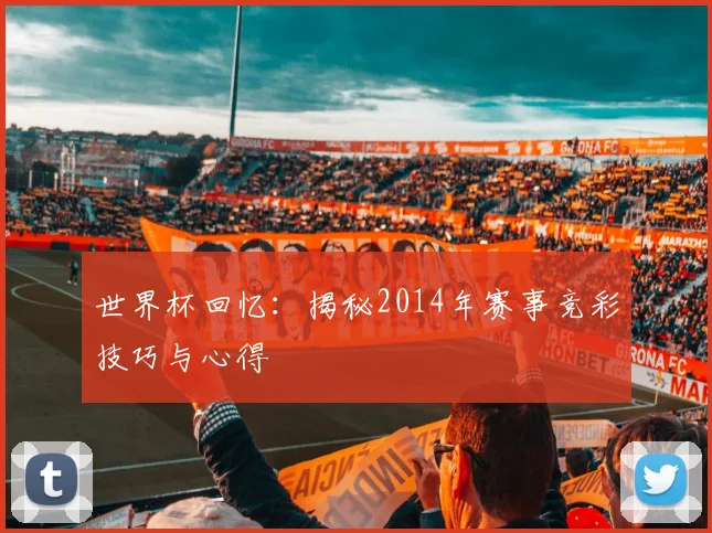 世界杯回忆:揭秘2014年赛事竞彩技巧与心得