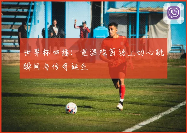 世界杯回播：重温绿茵场上的心跳瞬间与传奇诞生