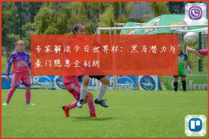 专家解读今日世界杯：黑马潜力与豪门隐患全剖析